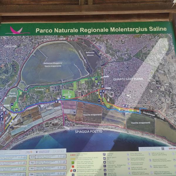 Flamingo Park in Cagliari 1
