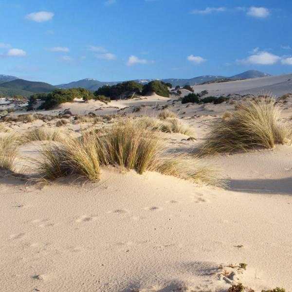 Piscinas 5